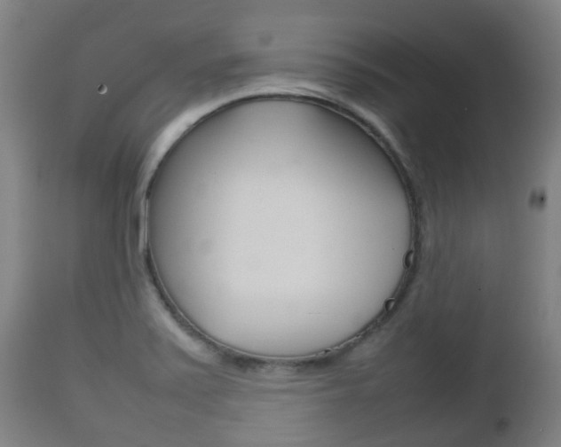 X0000111901371200907271000