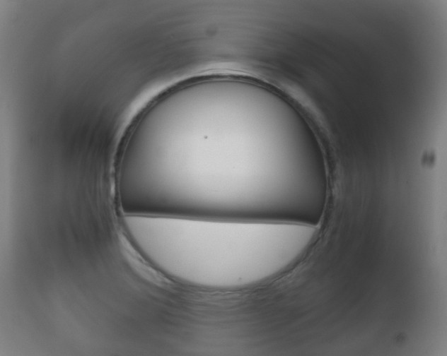 X0000111901372200907271000