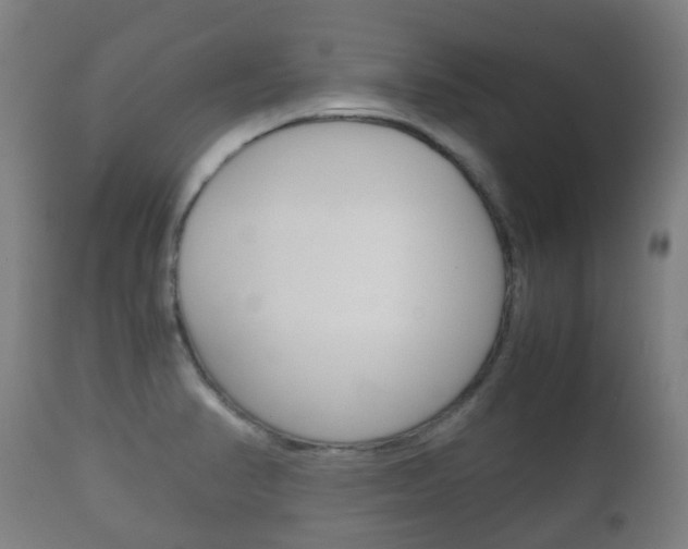 X0000111901374200907271000