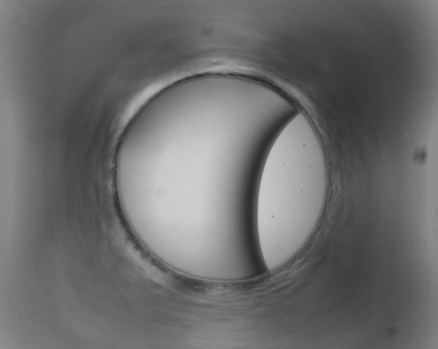 X0000111901375200907271000