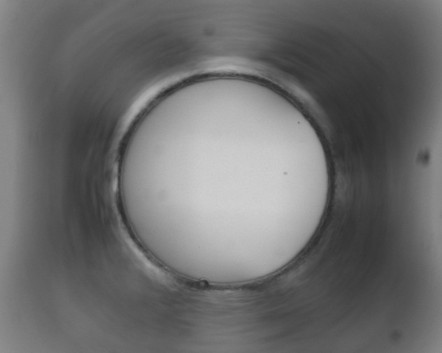 X0000111901376200907271000