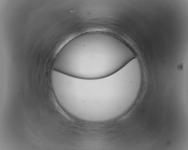 X0000111901377200907271000