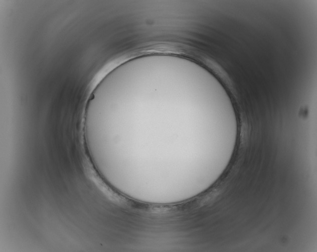 X0000111901378200907271000