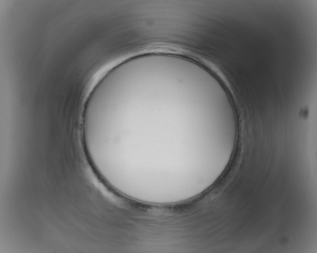 X0000111901379200907271000