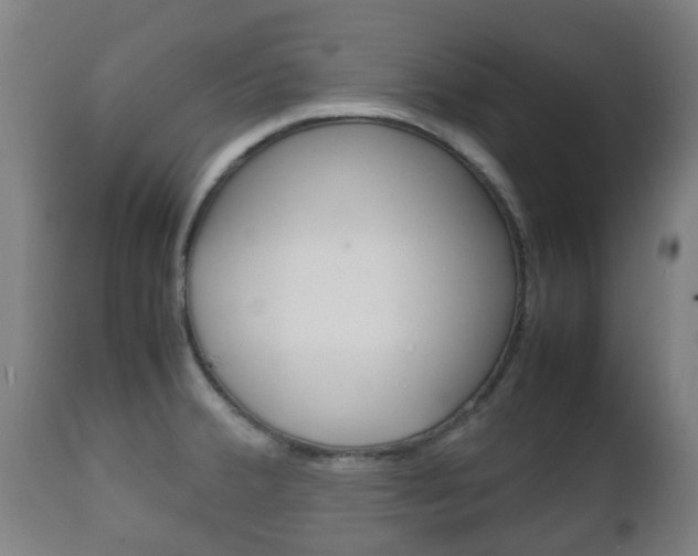 X0000111901380200907271000