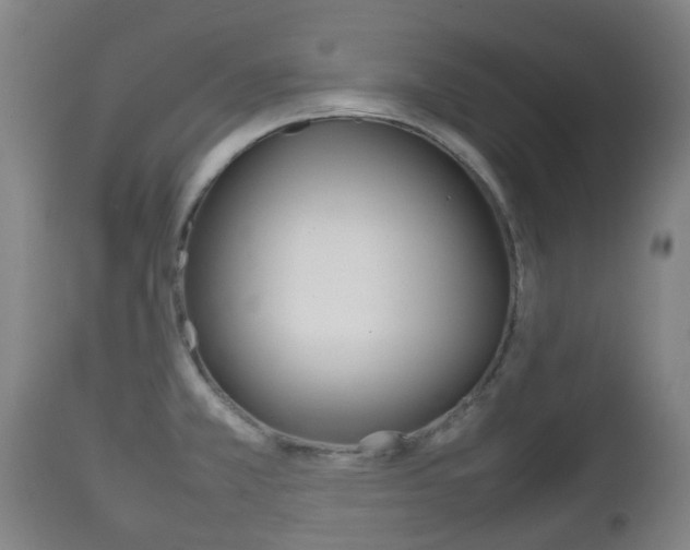 X0000111901381200907271000