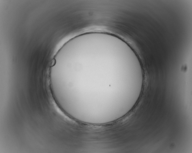 X0000111901382200907271000