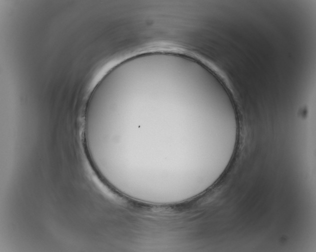 X0000111901383200907271000