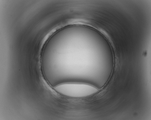 X0000111901384200907271000
