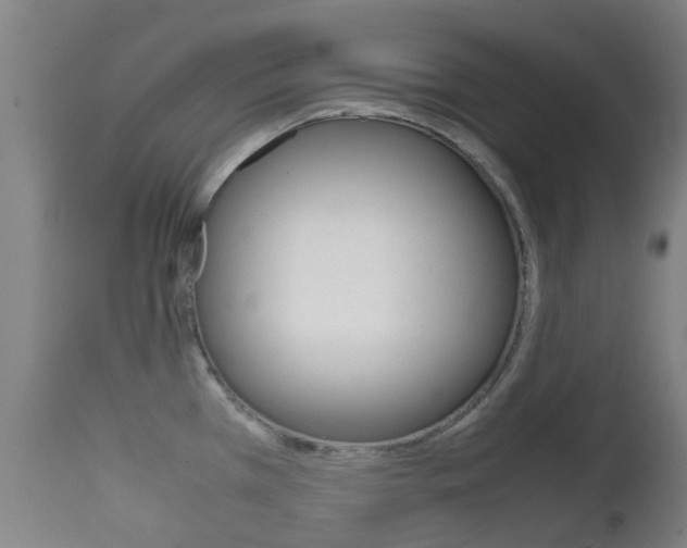 X0000111901385200907271000