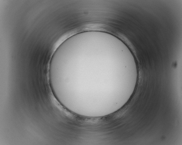 X0000111901386200907271000