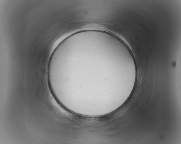 X0000111901387200907271000