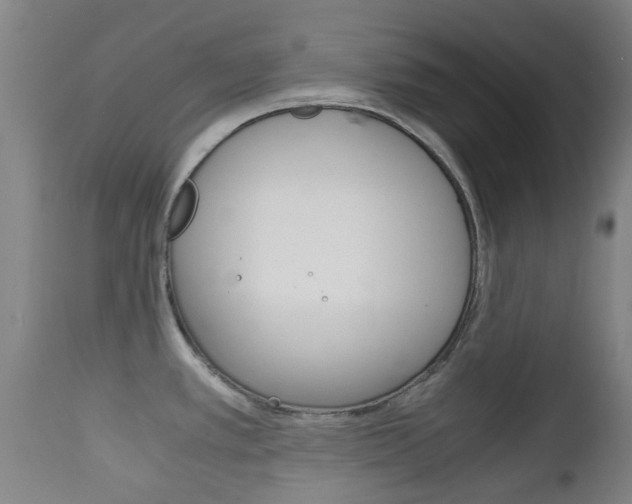 X0000111901389200907271000