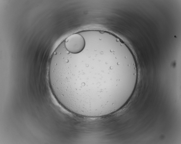 X0000111901390200907271000