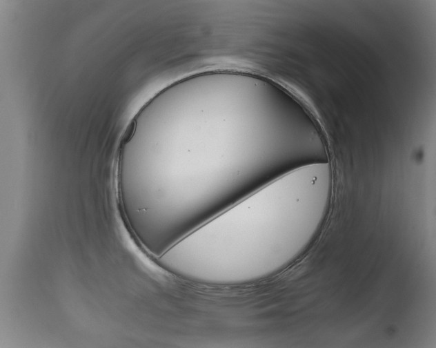 X0000111901391200907271000