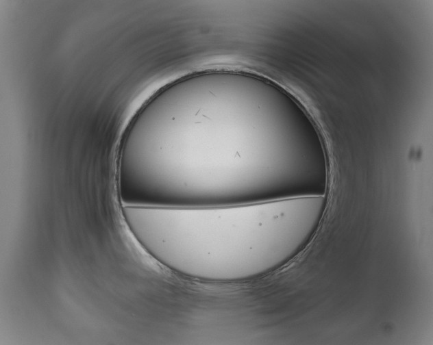 X0000111901392200907271000
