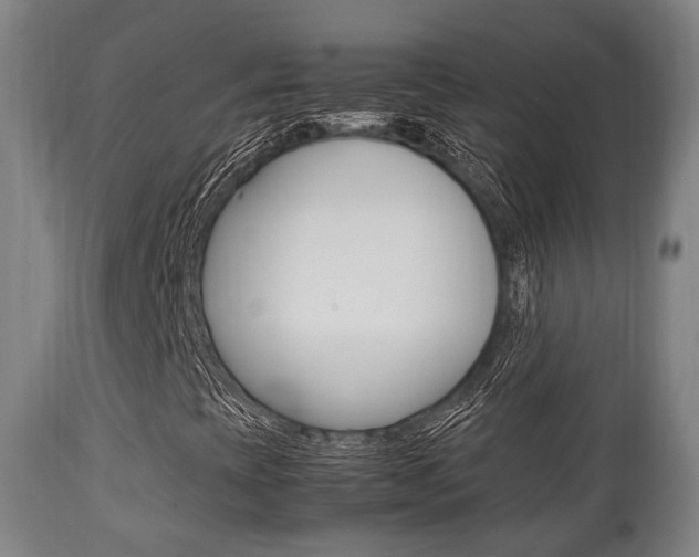 X0000111901393200907270959