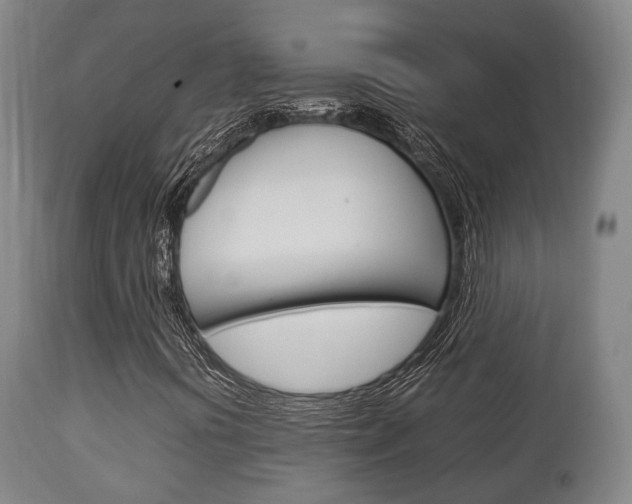 X0000111901394200907270959