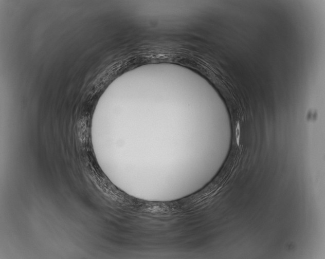 X0000111901395200907270959