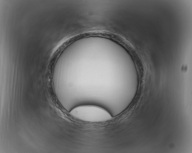 X0000111901400200907270959
