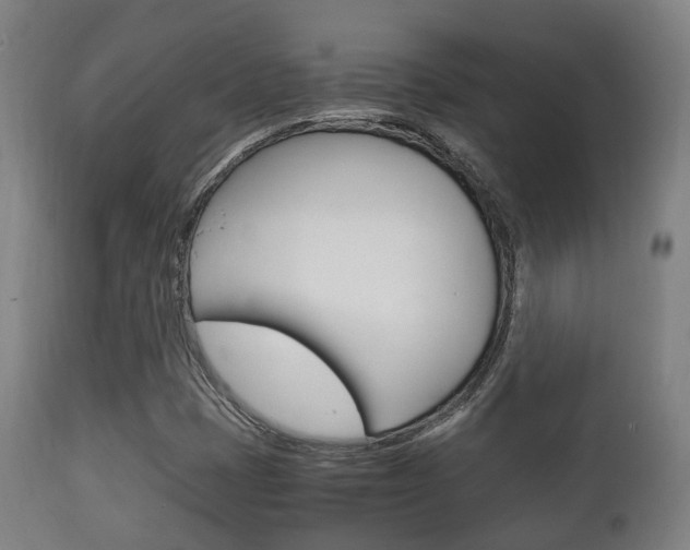 X0000111901401200907270959