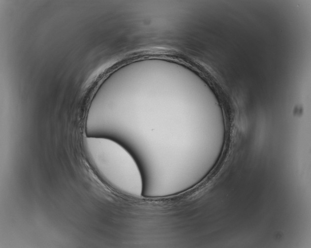 X0000111901402200907270959