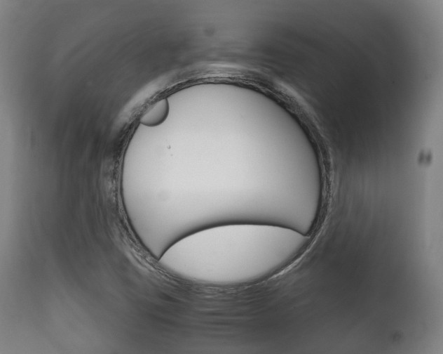 X0000111901403200907270959