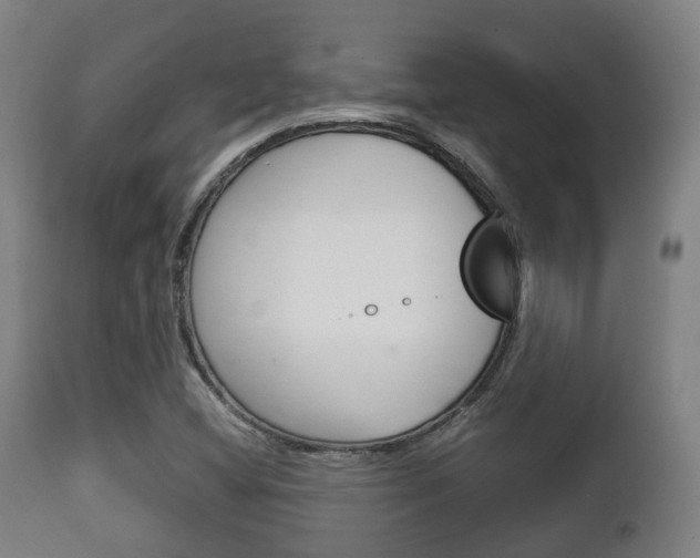 X0000111901404200907270959
