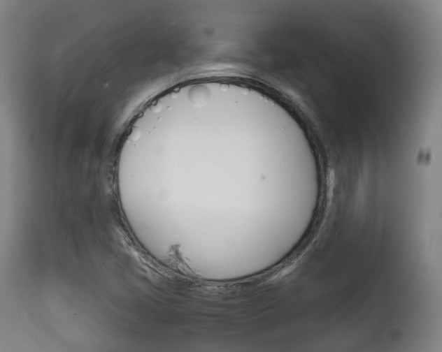 X0000111901405200907270959