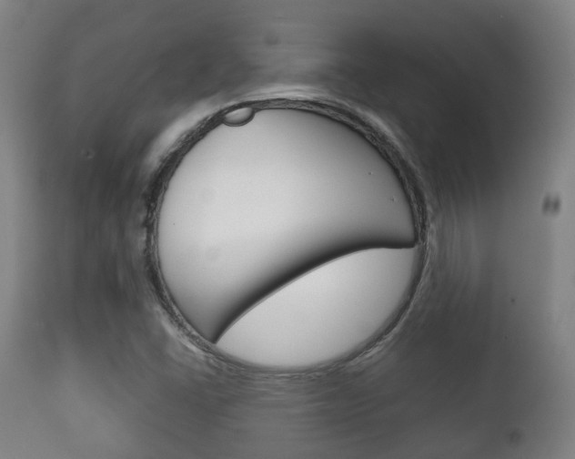 X0000111901406200907270959