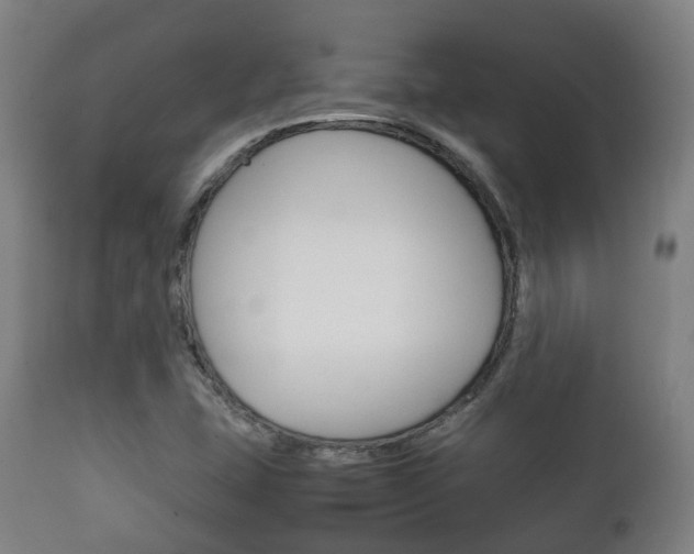 X0000111901407200907270959