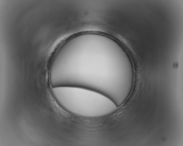 X0000111901408200907270959