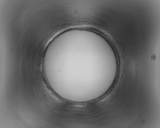 X0000111901409200907270959