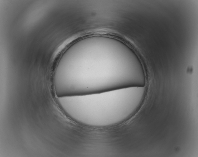 X0000111901410200907270959