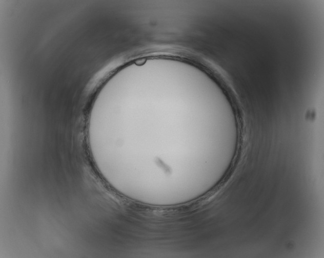 X0000111901411200907270959