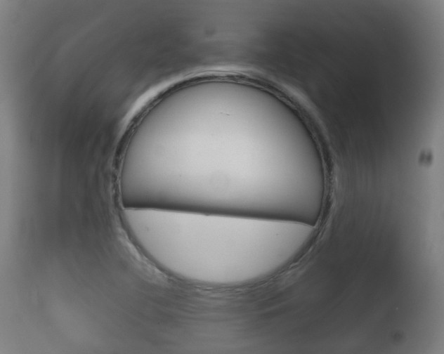 X0000111901412200907270959