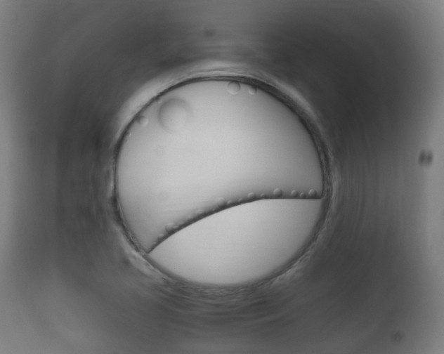 X0000111901413200907270959