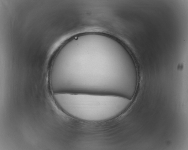 X0000111901414200907270959