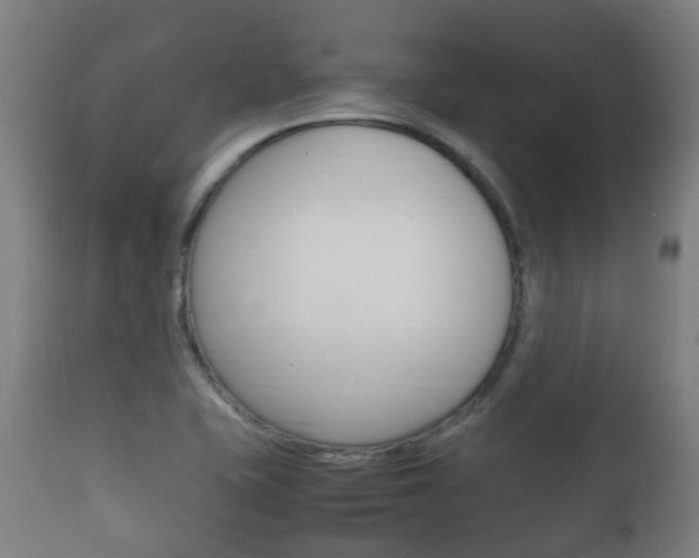 X0000111901415200907270959