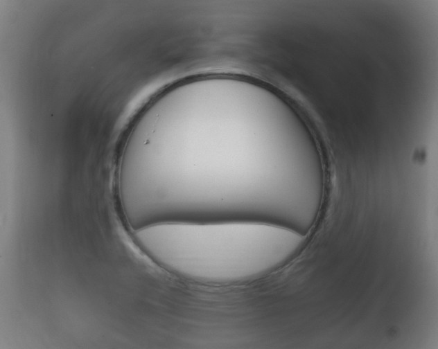 X0000111901416200907270959