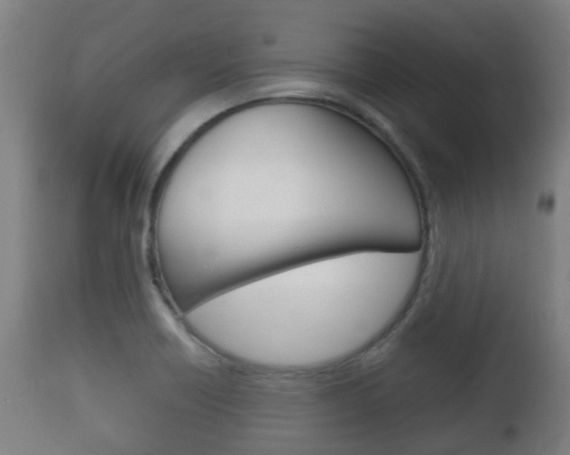 X0000111901418200907270959