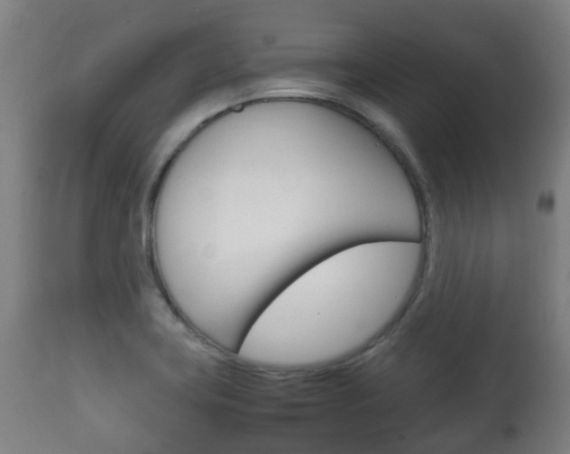 X0000111901419200907270959