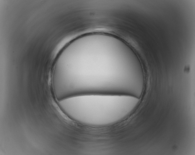 X0000111901420200907270959