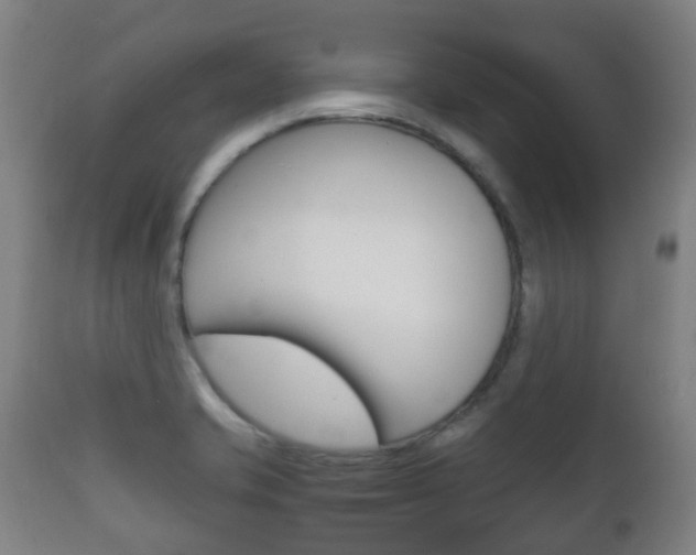 X0000111901421200907270959