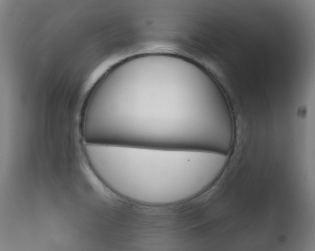 X0000111901422200907270959