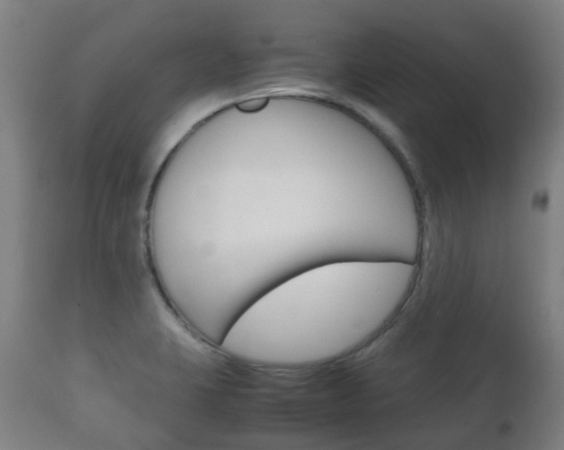 X0000111901423200907270959