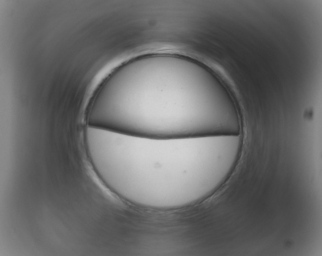 X0000111901424200907270959