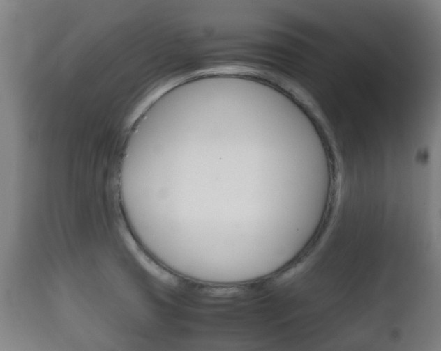 X0000111901425200907270959