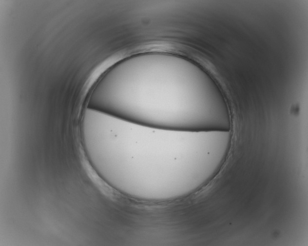 X0000111901426200907270959