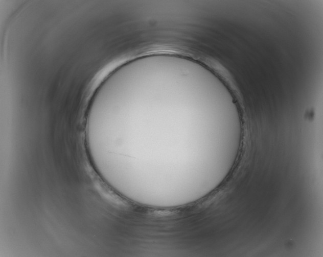 X0000111901427200907270959